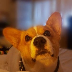 Meet your Posher, Marcella